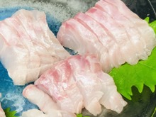 もういらない、なんて言わないで!『あつまれ どうぶつの森』で釣れまくる魚「スズキ」のイイところ【平坂寛の『あつ森』博物誌】 画像