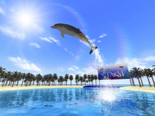 ワンコインで家に水族館がやってくる！Wiiウェア『SEAFARM～イルカとわたしのショータイム～』 画像