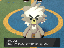 『ポケモン ソード・シールド』DLC「鎧の孤島」の小ネタ24選! ダクマ抜きでもストーリーは進められる!? 画像