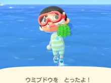 『あつまれ どうぶつの森』ダイビングをさらに楽しむ小ネタ10選！ コツを覚えれば飛び込み方も操作できる 画像