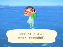 【週刊インサイド】『あつまれ どうぶつの森』ダイビングや7月からの虫取りなどに関心集まる! 『スマブラSP』カービィの“中華カワイイ”姿も話題に 画像