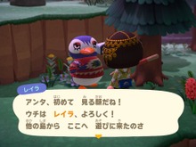 『あつまれ どうぶつの森』離島で再会する元住人に記憶がないのはなぜ？―4つの仮説を立ててみた 画像
