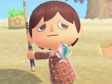 日本が世界に誇る美魚!『あつまれ どうぶつの森』で釣れる「タナゴ」ってどんな魚?【平坂寛の『あつ森』博物誌】 画像