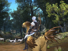 プレイヤー爆増中の『FF14』北米サーバーの同時ログイン上限引き上げへ―自動ログアウト機能も前倒し実装 画像
