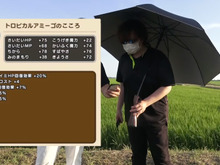 「トロピカルアミーゴ」のこころで戦術はグンと広がる!Sが欲しくなる使い道解説【ドラクエウォーク 秋田局】 画像