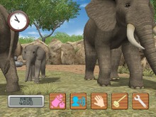 Wiiで動物たちと触れ合う癒し系ゲーム『Animal Life～動物ふれあい生活～』9月15日配信開始！ 画像