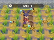 牧場生活にサクナヒメ出現!?畜産から稲作まで、『牧場物語』でも“米は力だ!”を楽しめるコラボDLC登場 画像
