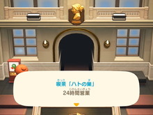 『あつまれ どうぶつの森』ついに「喫茶 ハトの巣」登場か!? 最新アプデ11月配信【Nintendo Direct】 画像