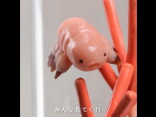 『DEATH STRANDING』の「クリプトビオシス」を食す―ヌメッとしたテカリがヤバい 画像