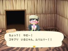 『あつ森』アプデ後、まずは部屋を掃除するべき!? ゴキブリがいる場合、遊びにくる住民に「特殊演出」あり… 画像