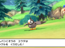 『ポケモン ダイパリメイク』にも参戦確定!? 最難関「たんパンこぞうのユウタ」の強さとは… 画像