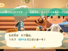 『あつ森』カブで儲けたい人必見！ 大型アプデ後、ベル稼ぎする方法＆人の島へ行くときのNG行為 画像