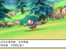 『ポケモン ダイパリメイク』話題まとめー強すぎる「たんパンこぞう」から、当時「ペラップ」を襲った悲劇まで 画像