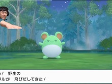 本郷奏多にマー君も!? 『ダイパリメイク』を発売日から始めた“ポケモン好き”有名人たち 画像