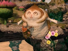『FF14』パイッサに“トトロ乗り”するララフェル!公式インスタに新マウントを示唆する投稿 画像