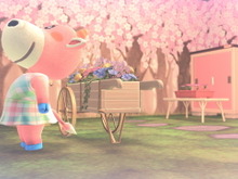『あつ森 ハッピーホームパラダイス』最後の“ひと手間”がすべてを決めるー仕切り壁や家具みがきで差をつけよう!【ワンランク上のコーディネート術】 画像