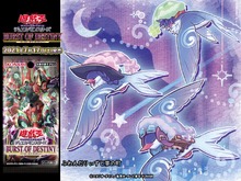 『遊戯王 マスターデュエル』に「ふわんだりぃず」注意報!?環境を破壊するかもしれない“かわいい鳥” 画像