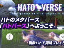 参加者が“ハト”になるメタバース空間『ハトバース』発表―ハトを通じてリアルタイムで交流、ただしチャット機能なし 画像