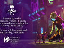 話題の猫ゲー『Stray』に全世界熱狂！動物保護団体と提携するなど、コラボも続々 画像