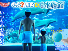 いつものお風呂が水族館に！“海のなかま”が飛び出す入浴剤「ドラマチックお風呂シリーズ」に新弾が登場 画像