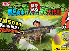 『緊急SOS！池の水ぜんぶ抜く大作戦』をお風呂で完全再現！？浴槽の底に外来生物が沈むユニークな“入浴剤”がインパクト抜群 画像