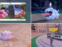 『ポケモンSV』知られざるポケモンの生態!? おばけいぬポケモン「ボチ」の考察や、育成時の“メタモン不要説”まで 画像
