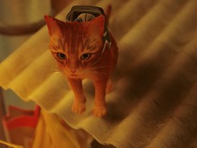 年末年始にサイバーパンク猫ADV『Stray』を遊ぶ前に気を付けたい、いくつかのこと【子猫スクショあり(再)】 画像