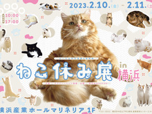 「ねこ休み展 2023 in 横浜」2月10日~11日、開催!可愛さたっぷりの写真展や、本イベントでしか買えないグッズも 画像