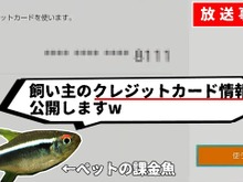 魚にクレカ情報開示された!『ポケモン』プレイ配信中のペットが勝手に…その後500円分を不正利用する暴れっぷり 画像