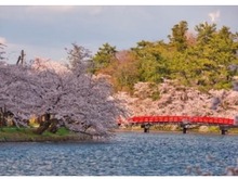 青森県弘前市のふるさと納税に、弘前公園「春陽橋」の古材を活用したスマホスタンドが登場!50台限定で生産 画像