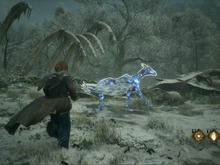 『ホグワーツ・レガシー』お金を稼ぐためならなんでもあり?金策のために魔法生物の乱獲に及ぶプレイヤーが続出 画像