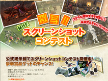 『MHF』「激写！！MHFスクリーンショットコンテスト」を9月6日より開催！ 画像