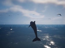 様々な海洋生物となって海の世界を旅する『Whale Fall』第1弾トレイラー公開!イルカやエイ、果てには巨大な鯨まで操作可能 画像