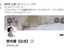 Twitterにはプロフィールに設定できない絵文字が存在する―青い公式マークや鍵アカウントを誤認させるものはNG 画像