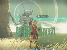 『ゼルダの伝説 ティアキン』あの魔王すら抵抗できない「壊れない檻」が発明される―大人しく捕まる強敵たち 画像