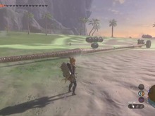 『ゼルダの伝説 ティアキン』に、“セグウェイ(アローラのすがた)”が爆誕―ヤシの木4本で空中散歩を実現 画像