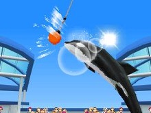 やりたかったことが全部できる!?DS『みんなの水族館』3月発売 画像