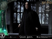 お値段34万円!「ハリポタ」の“影の主人公”、「セブルス・スネイプ」がスタチューに―怖いほどリアル、幾度と無くホグワーツで見た姿そのもの 画像