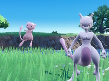 『ポケモンSV』最強のミュウツーに「ミュウ」で挑んだら何が起こるのか検証！もし勝てれば“サプライズ”も？ 画像