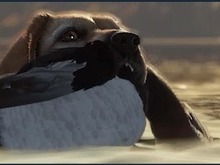 愛犬が飼える！犬とともに狩猟スローライフ『theHunter: Call of the Wild』最新DLC「Labrador Retriever」リリース 画像