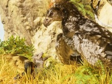 『ARK: Survival Ascended』国内PS5パッケージ版4月18日発売―思わず見入るUE5再構築の恐竜世界新トレイラーも公開 画像