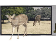 シャープ、裸眼立体視が可能な2D/3D切り替え型液晶ディスプレイを新開発・・・3DS向け? 画像