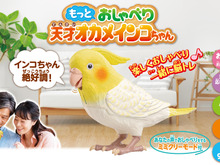 伝説の“天才インコちゃん”が、もっと賢くなって帰ってきた！2,300通り以上の日常会話や脳トレをひっさげ、6月15日（インコの日）に発売 画像