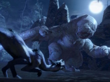蜘蛛だけど「フルフル」！？中国で見つかった新種の目無し蜘蛛に『モンスターハンター』元ネタの名がつけられる 画像
