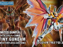 オレンジの「光の翼」も付属する豪華仕様！MGガンプラ「デスティニーガンダム(ハイネ専用機)」がガンダムベース限定で登場 画像