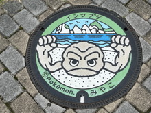 ポケモンで地域の魅力を発信する「ポケモンローカルActs」って知ってる？透過風の足で話題になった岩手県応援ポケモン・イシツブテの地域活動を通じて「ポケモン」の影響力を見てみよう【特集】 画像