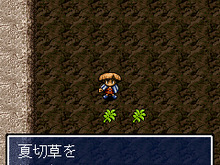 「風来のシレンDX」夏休み限定キャンペーンで「夏切草」をプレゼント 画像
