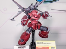 劇場版「ガンダムSEED」大人気の「ズゴック」、METAL ROBOT魂に来たる！装着可能な「キャバリアーアイフリッド」も同時発表 画像