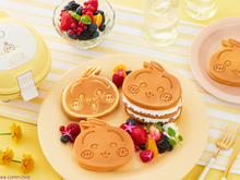 「ちいかわ」生地を流して蓋を閉じるだけ!可愛い「うさぎ」型になるパンケーキメーカーが発売 画像