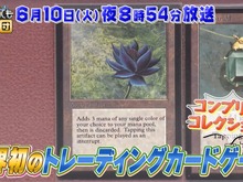 あの「ブラック・ロータス」も…?「開運!なんでも鑑定団」に『マジック:ザ・ギャザリング』コンプリートコレクションが登場へ 画像
